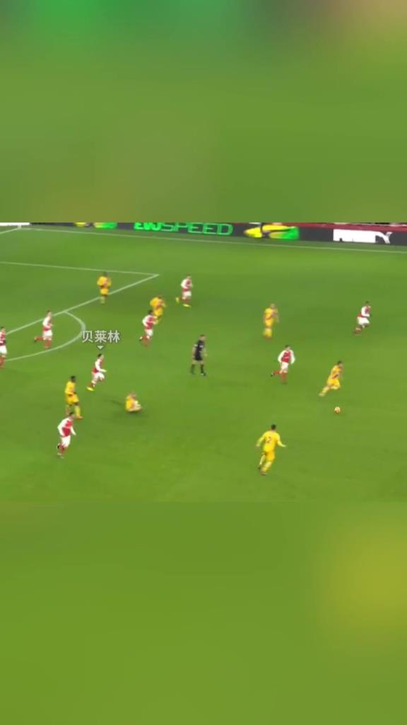 这个世界上所有华丽的辞藻，也概括不了这粒进球的美妙！