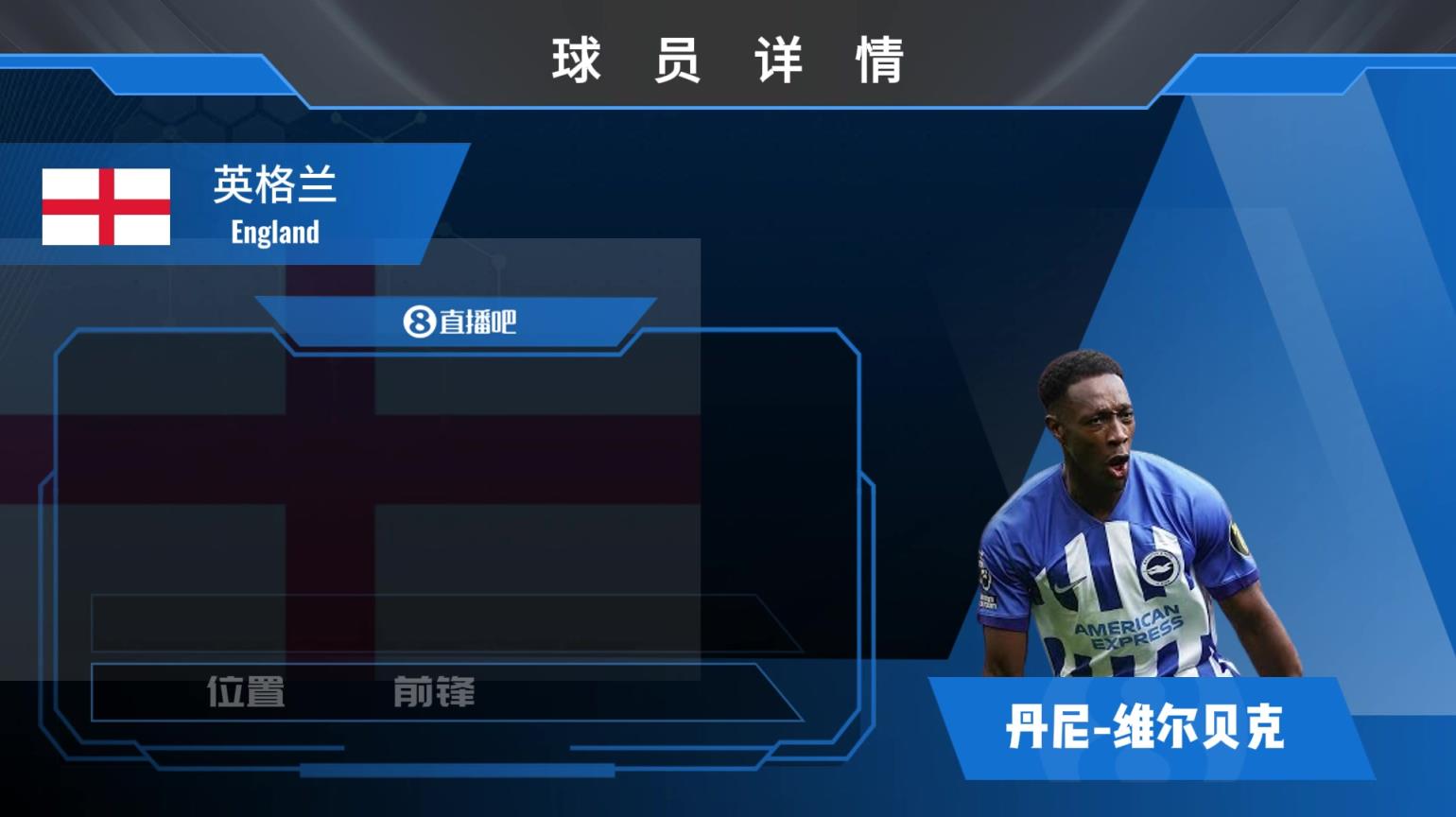 维尔贝克球员集锦：身材高大速度奇快的前锋