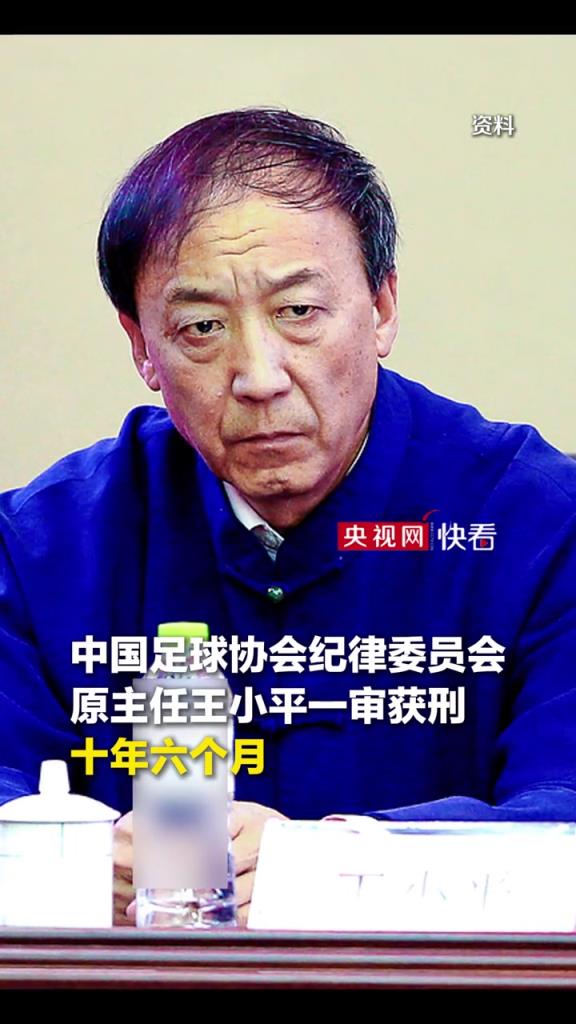 央视：中国足协原纪律委员会主任王小平一审获刑十年六个月